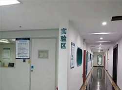 金华医院亲子鉴定如何做在线咨询，金华医院办理亲子鉴定收费多少