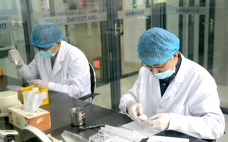 金华采集头发可以做血缘检测吗,金华做隐私亲子鉴定价格收费