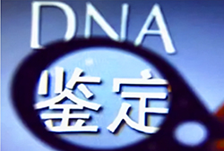 金华个人亲子鉴定费用是多少钱，金华匿名亲子鉴定办理方法