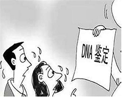 金华哪个医院能做亲子鉴定，金华医院做亲子鉴定办理方法