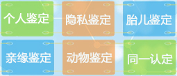 检测项目
